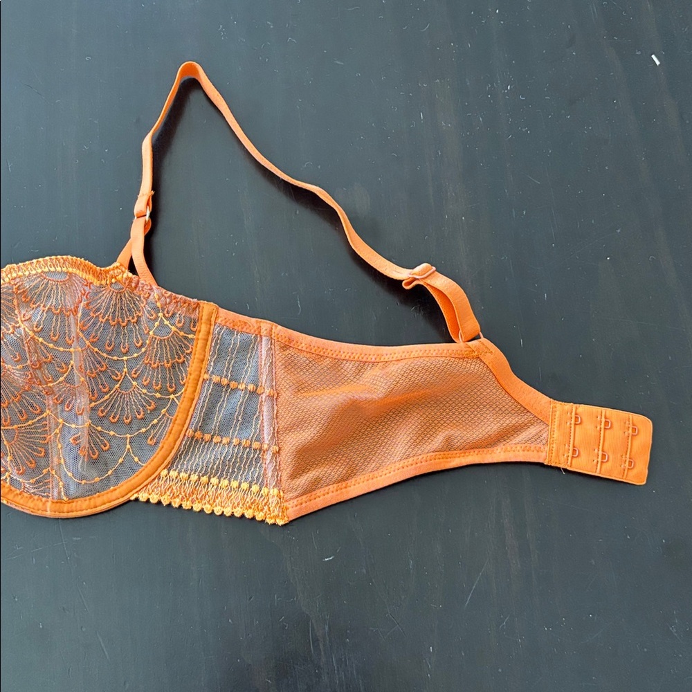Aubade- pure vibration Elegant Orange Lace Bra - Picture 3 of 7